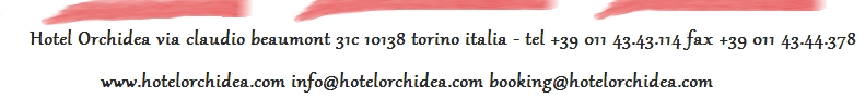 pagina sfondo bianco